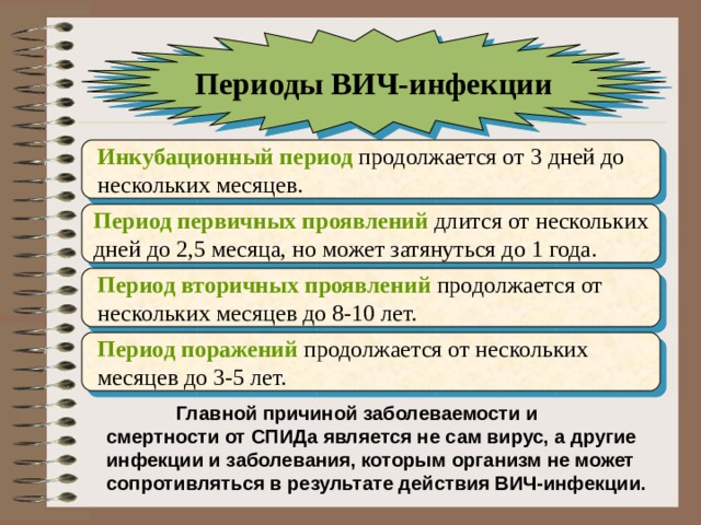 Периоды ВИЧ-инфекции  Инкубационный период продолжается от 3 дней до  нескольких месяцев.  Период первичных проявлений длится от нескольких  дней до 2,5 месяца, но может затянуться до 1 года.  Период вторичных проявлений продолжается от  нескольких месяцев до 8-10 лет.  Период поражений продолжается от нескольких  месяцев до 3-5 лет.  Главной причиной заболеваемости и смертности от СПИДа является не сам вирус, а другие инфекции и заболевания, которым организм не может сопротивляться в результате действия ВИЧ-инфекции.