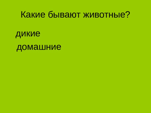  дикие  домашние 