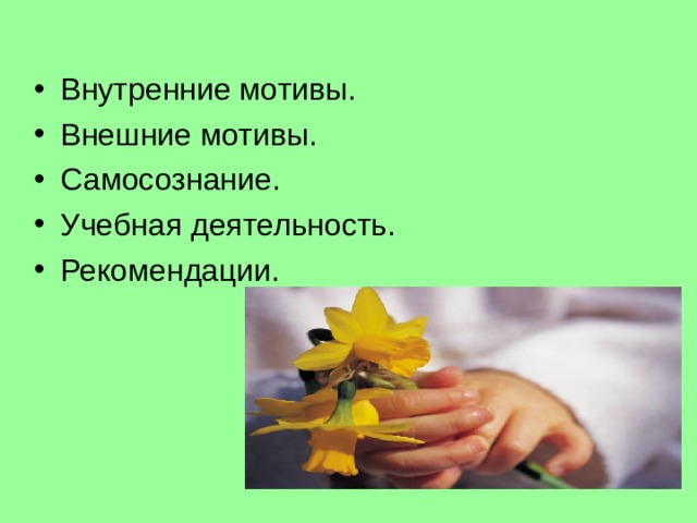 Внутренние мотивы. Внешние мотивы. Самосознание. Учебная деятельность. Рекомендации. 