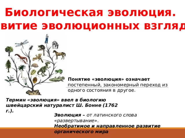 Биологическая эволюция. Развитие эволюционных взглядов Понятие «эволюция» означает постепенный, закономерный переход из одного состояния в другое. Термин «эволюция» ввел в биологию швейцарский натуралист Ш. Бонне (1762 г.). Эволюция – от латинского слова «развертывание». Необратимое и направленное развитие органического мира 