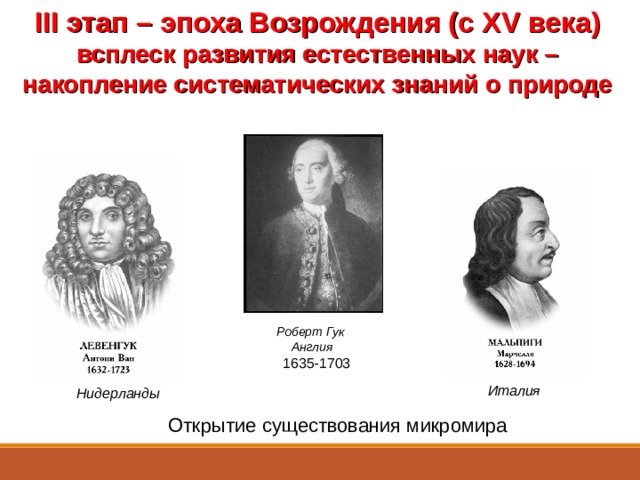 III этап – эпоха Возрождения (с Х V века) всплеск развития естественных наук – накопление систематических знаний о природе Роберт Гук Англия 1635-1703 Италия Нидерланды Открытие существования микромира  