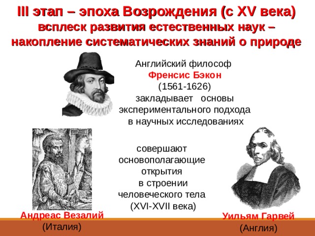 III этап – эпоха Возрождения (с Х V века) всплеск развития естественных наук – накопление систематических знаний о природе Английский философ Френсис Бэкон (1561-1626) закладывает основы экспериментального подхода  в научных исследованиях совершают основополагающие открытия  в строении человеческого тела  (Х VI- Х VII века) Андреас Везалий (Италия) Уильям Гарвей  (Англия)  