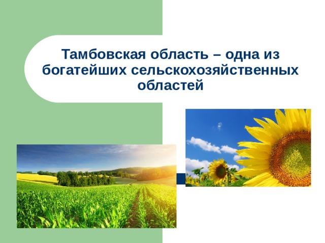 Тамбовская область – одна из богатейших сельскохозяйственных областей 