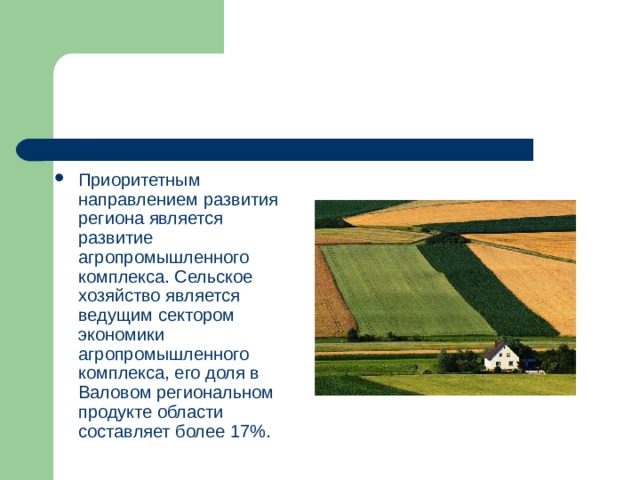 Приоритетным направлением развития региона является развитие агропромышленного комплекса. Сельское хозяйство является ведущим сектором экономики агропромышленного комплекса, его доля в Валовом региональном продукте области составляет более 17%.  