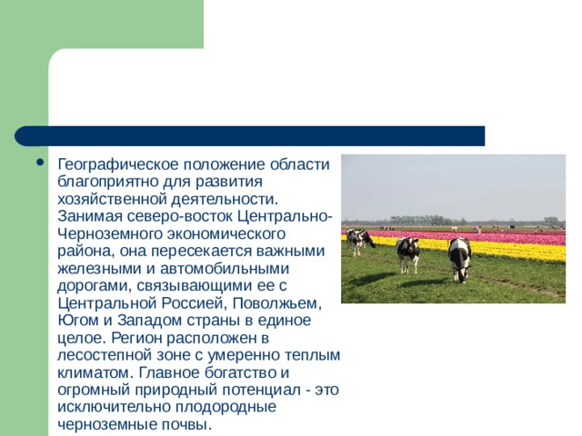 Географическое положение области благоприятно для развития хозяйственной деятельности. Занимая северо-восток Центрально-Черноземного экономического района, она пересекается важными железными и автомобильными дорогами, связывающими ее с Центральной Россией, Поволжьем, Югом и Западом страны в единое целое. Регион расположен в лесостепной зоне с умеренно теплым климатом. Главное богатство и огромный природный потенциал - это исключительно плодородные черноземные почвы. 