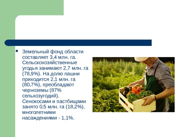 Земельный фонд области составляет 3,4 млн. га. Сельскохозяйственные угодья занимают 2,7 млн. га (78,9%). На долю пашни приходится 2,1 млн. га (80,7%), преобладают черноземы (87% сельхозугодий). Сенокосами и пастбищами занято 0,5 млн. га (18,2%), многолетними насаждениями - 1,1%. 