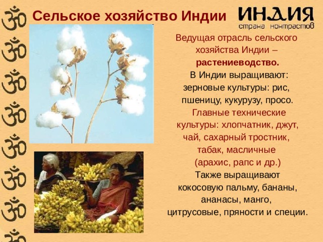 Сельское хозяйство Индии Ведущая отрасль сельского хозяйства Индии – растениеводство.  В Индии выращивают: зерновые культуры: рис, пшеницу, кукурузу, просо.  Главные технические культуры: хлопчатник, джут, чай, сахарный тростник, табак, масличные (арахис, рапс и др.) Также выращивают  кокосовую пальму, бананы, ананасы, манго, цитрусовые, пряности и специи. 