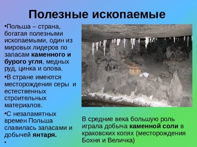 Полезные ископаемые Польша – страна, богатая полезными ископаемыми, один из мировых лидеров по запасам каменного и бурого угля , медных руд, цинка и олова. В стране имеются месторождения серы и естественных строительных материалов. С незапамятных времен Польша славилась запасами и добычей янтаря.  В средние века большую роль играла добыча каменной соли в краковских копях (месторождения Бохня и Величка) 