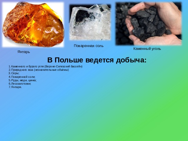 Поваренная соль Каменный уголь Янтарь В Польше ведется добыча: Каменного и бурого угля ( Верхне-Силезский бассейн) Природного газа (незначительные объёмы) Серы; Поваренной соли; Руды, меди, цинка; Лесозаготовки ; Янтаря. 