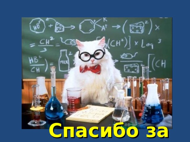  Спасибо за урок! 