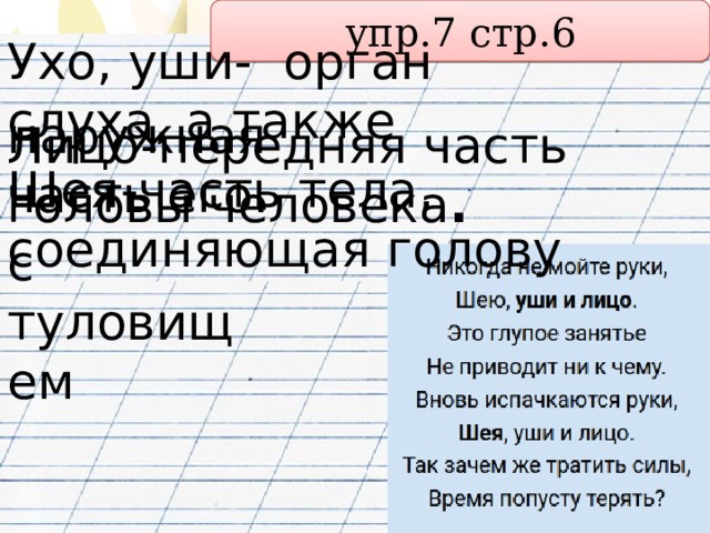 упр.7 стр.6 Ухо, уши- орган слуха, а также наружная часть его. Лицо-передняя часть головы человека . Шея-часть тела, соединяющая голову с туловищем  
