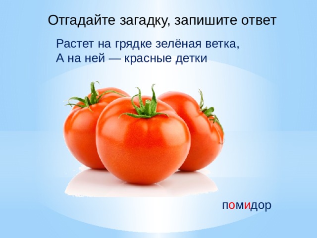 Отгадайте загадку, запишите ответ Растет на грядке зелёная ветка, А на ней — красные детки п о м и дор 