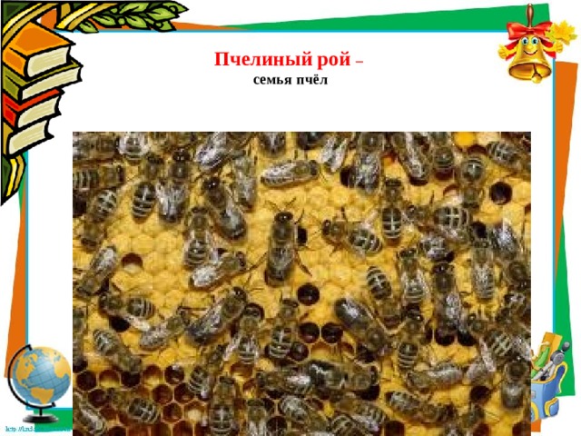  Пчелиный рой –  семья пчёл 