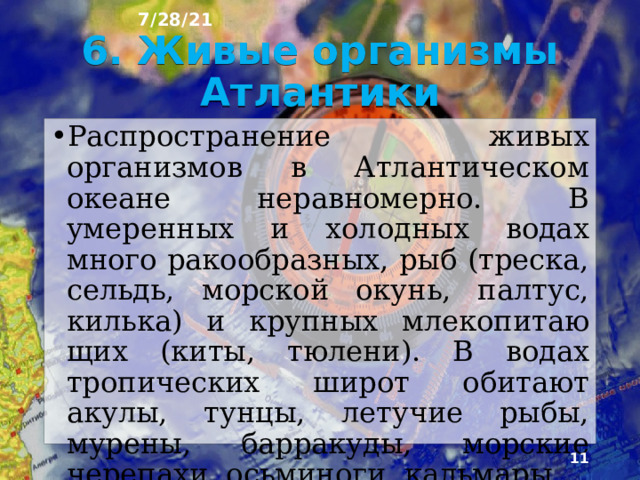 7/28/21 5. Климат Атлантики На климат океана большое влияние оказывают круговороты течений. Характерное явление для многих районов Атлан­тики - густые туманы, а также тропические цикло­ны, наиболее часто обрушивающиеся на острова Карибского моря и юг Северной Америки. Из-за мощного центра охлажде­ния - Антарктиды - южная часть океана холоднее северной.  