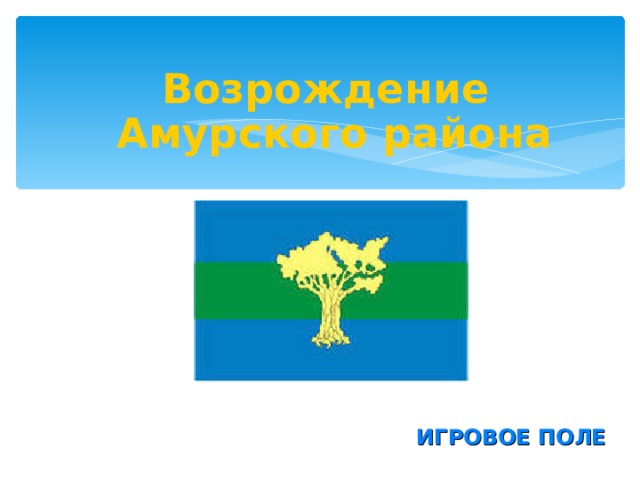 Возрождение Амурского района  ИГРОВОЕ ПОЛЕ 