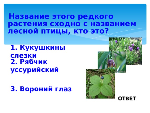  Название этого редкого растения сходно с названием лесной птицы, кто это?  1. Кукушкины слезки 2. Рябчик уссурийский 3. Вороний глаз ОТВЕТ 