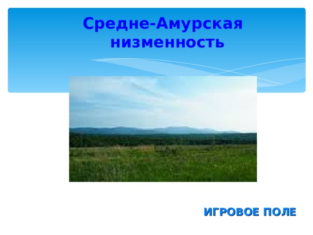 Средне-Амурская низменность ИГРОВОЕ ПОЛЕ 