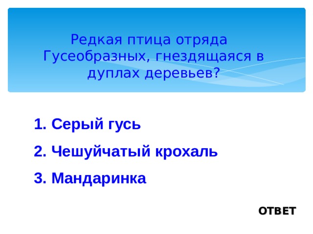 Редкая птица отряда Гусеобразных, гнездящаяся в дуплах деревьев? 1. Серый гусь 2. Чешуйчатый крохаль 3. Мандаринка ОТВЕТ 