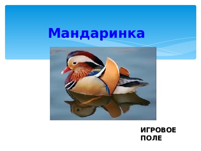 Мандаринка  ИГРОВОЕ ПОЛЕ 