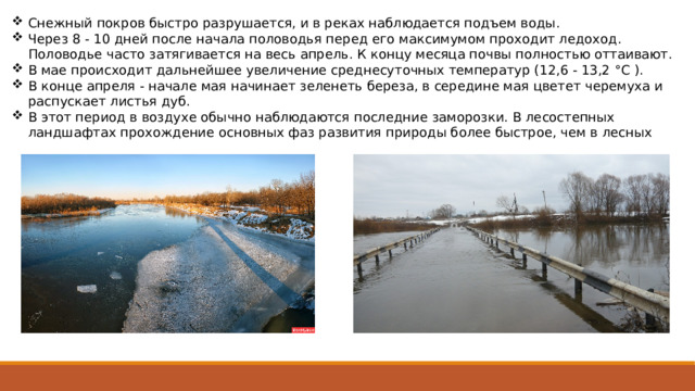 Снежный покров быстро разрушается, и в реках наблюда­ется подъем воды. Через 8 - 10 дней после начала половодья перед его максимумом проходит ледоход. Половодье часто затягивается на весь апрель. К концу месяца почвы полностью оттаивают. В мае про­исходит дальнейшее увеличение среднесуточных температур (12,6 - 13,2 °C ). В конце апреля - начале мая начинает зеленеть бе­реза, в середине мая цветет черемуха и распускает листья дуб. В этот период в воздухе обычно наблюдаются последние заморозки. В лесостепных ландшафтах прохождение основных фаз развития природы более быстрое, чем в лесных 