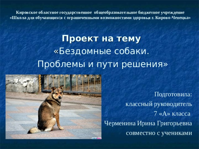 Кировское областное государственное общеобразовательное бюджетное учреждение  «Школа для обучающихся с ограниченными возможностями здоровья г. Кирово-Чепецка»   Проект на тему « Бездомные собаки. Проблемы и пути решения» Подготовила: классный руководитель 7 «А» класса Черменина Ирина Григорьевна совместно с учениками 