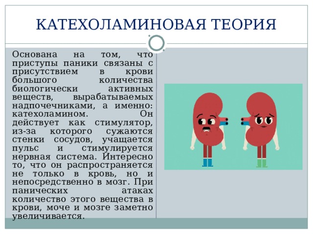 КАТЕХОЛАМИНОВАЯ ТЕОРИЯ  Основана на том, что приступы паники связаны с присутствием в крови большого количества биологически активных веществ, вырабатываемых надпочечниками, а именно: катехоламином. Он действует как стимулятор, из-за которого сужаются стенки сосудов, учащается пульс и стимулируется нервная система. Интересно то, что он распространяется не только в кровь, но и непосредственно в мозг. При панических атаках количество этого вещества в крови, моче и мозге заметно увеличивается. 