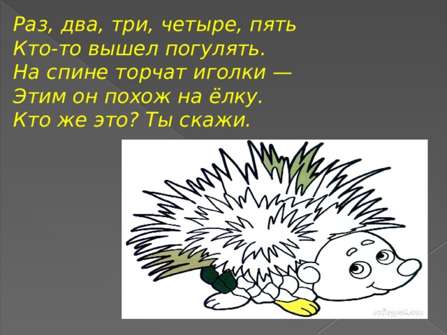 Раз, два, три, четыре, пять Кто-то вышел погулять. На спине торчат иголки — Этим он похож на ёлку. Кто же это? Ты скажи.  
