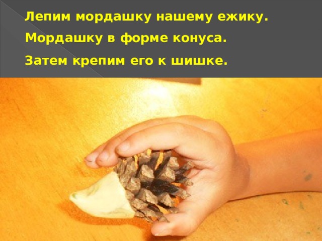 Лепим мордашку нашему ежику.  Мордашку в форме конуса.  Затем крепим его к шишке.  
