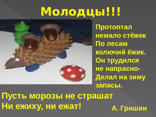 Молодцы!!! Протоптал немало стёжек  По лесам колючий ёжик.  Он трудился не напрасно-  Делал на зиму запасы.    Пусть морозы не страшат  Ни ежиху, ни ежат! А. Гришин  