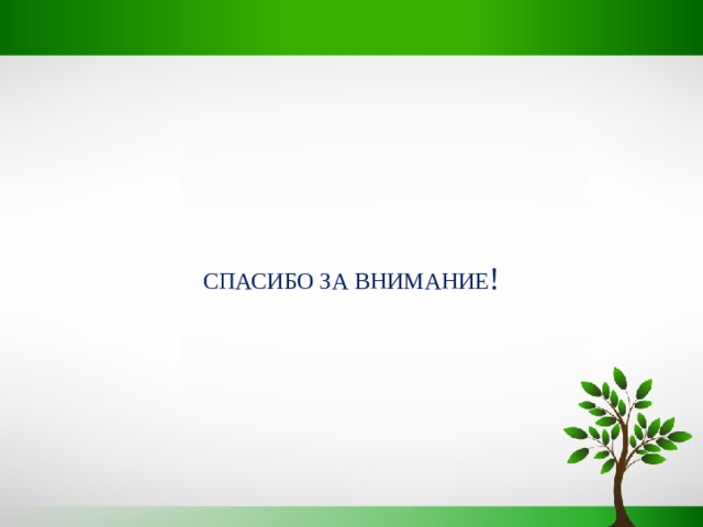 СПАСИБО ЗА ВНИМАНИЕ ! 