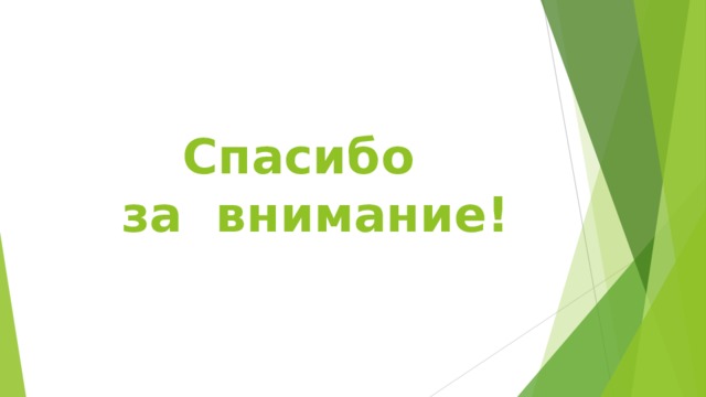 Спасибо  за внимание! 