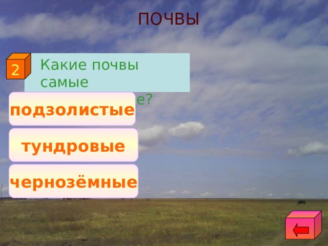 ПОЧВЫ 2  Какие почвы самые плодородные? подзолистые тундровые чернозёмные 