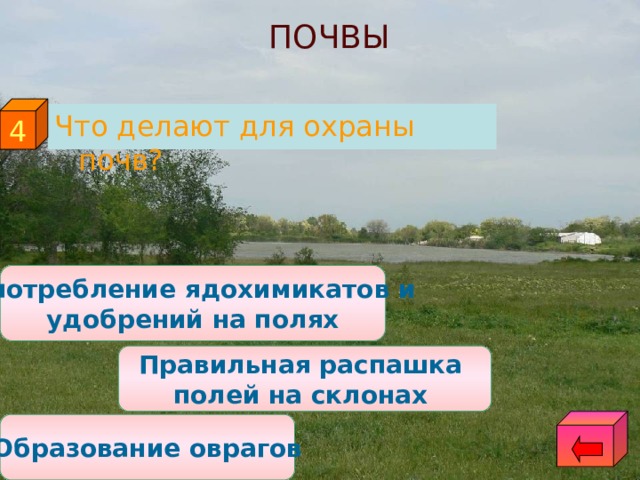 ПОЧВЫ 4 Что делают для охраны почв? Употребление ядохимикатов и удобрений на полях Правильная распашка полей на склонах Образование оврагов 
