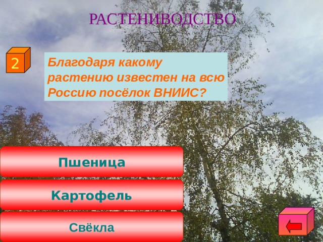 РАСТЕНИВОДСТВО 2  Благодаря какому растению известен на всю Россию посёлок ВНИИС? Пшеница Картофель Свёкла 