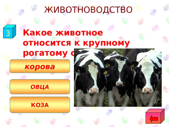 ЖИВОТНОВОДСТВО 3  Какое животное относится к крупному рогатому скоту? корова ОВЦА КОЗА 