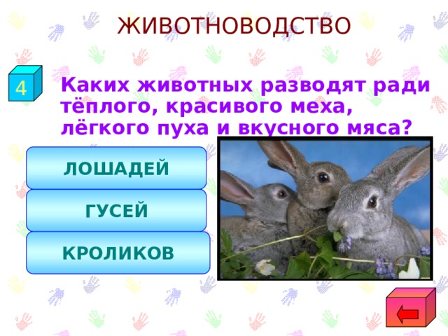 ЖИВОТНОВОДСТВО 4  Каких животных разводят ради тёплого, красивого меха, лёгкого пуха и вкусного мяса? ЛОШАДЕЙ ГУСЕЙ КРОЛИКОВ 
