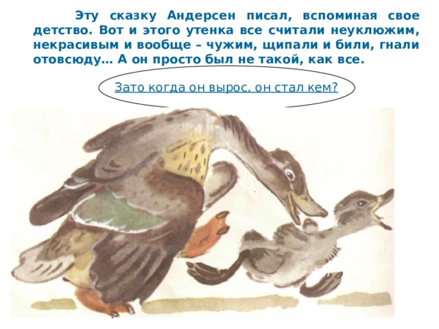  Эту сказку Андерсен писал, вспоминая свое детство. Вот и этого утенка все считали неуклюжим, некрасивым и вообще – чужим, щипали и били, гнали отовсюду… А он просто был не такой, как все. Зато когда он вырос, он стал кем? 