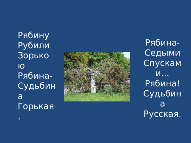 Рябину Рубили Зорькою Рябина- Судьбина Горькая.  Рябина- Седыми Спусками… Рябина! Судьбина Русская. 