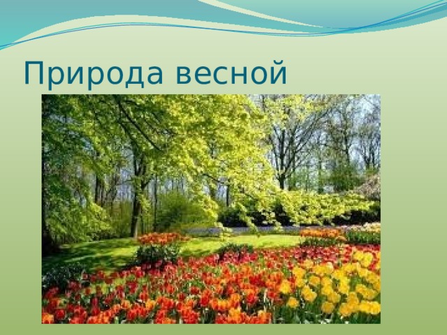 Природа весной 