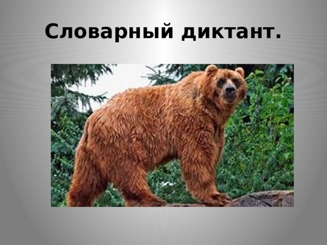 Словарный диктант. 