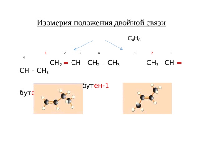   Изомерия положения двойной связи    С 4 Н 8  1 2 3 4 1 2 3 4  СН 2 = СН - СН 2 – СН 3   СН 3 - СН = СН – СН 3  бут ен-1 бут ен-2 