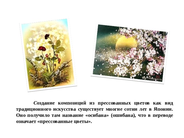  С оздание композиций из прессованных цветов как вид традиционного искусства существует многие сотни лет в Японии. Оно получило там название «осибана» (ошибана), что в переводе означает «прессованные цветы». 