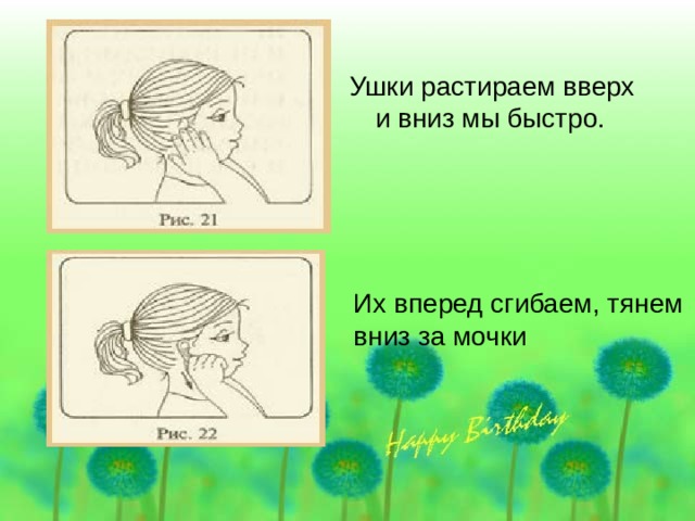 Ушки растираем вверх и вниз мы быстро. Их вперед сгибаем, тянем вниз за мочки 