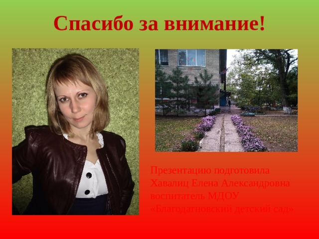 Спасибо за внимание! Презентацию подготовила Хавалиц Елена Александровна воспитатель МДОУ «Благодатновский детский сад» 