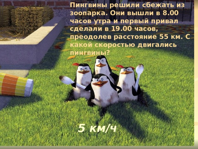 Пингвины решили сбежать из зоопарка. Они вышли в 8.00 часов утра и первый привал сделали в 19.00 часов, преодолев расстояние 55 км. С какой скоростью двигались пингвины? 5 км/ч 