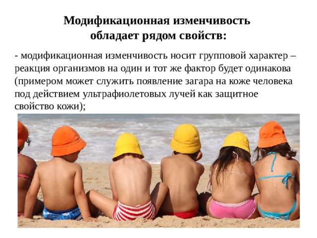 Модификационная изменчивость  обладает рядом свойств: - модификационная изменчивость носит групповой характер – реакция организмов на один и тот же фактор будет одинакова (примером может служить появление загара на коже человека под действием ультрафиолетовых лучей как защитное свойство кожи); 