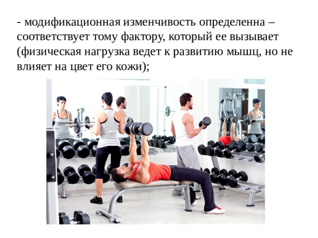 - модификационная изменчивость определенна – соответствует тому фактору, который ее вызывает (физическая нагрузка ведет к развитию мышц, но не влияет на цвет его кожи); 