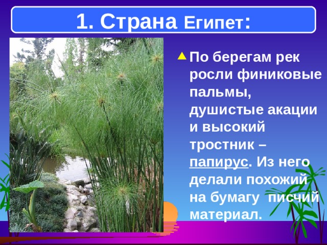 1. Страна Египет : По берегам рек росли финиковые пальмы, душистые акации и высокий тростник – папирус . Из него делали похожий на бумагу писчий материал. 
