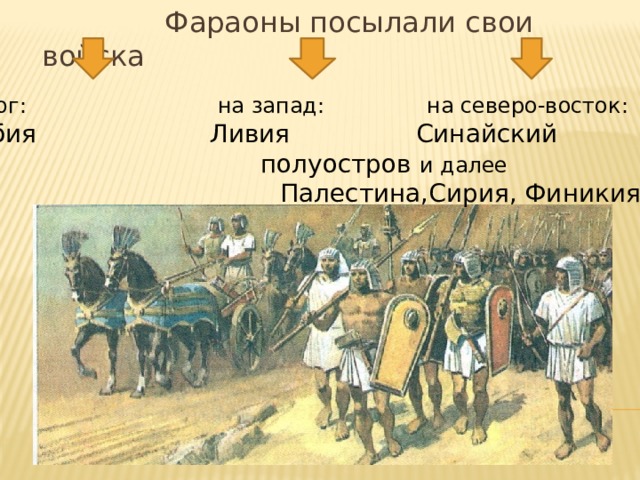  Фараоны посылали свои войска на юг: на запад: на северо-восток: Нубия Ливия Синайский       полуостров и далее  Палестина,Сирия, Финикия 