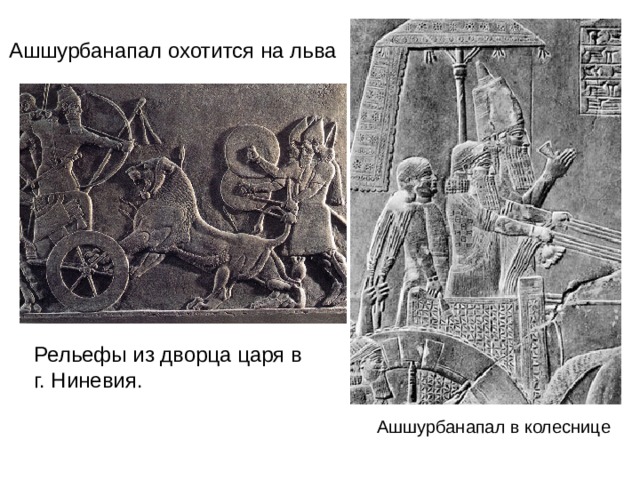 Ашшурбанапал охотится на льва Рельефы из дворца царя в г. Ниневия. Ашшурбанапал в колеснице 